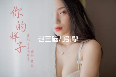 老王磁力引擎